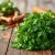 Natka pietruszki – zdrowotne właściwości i zastosowanie w kuchni